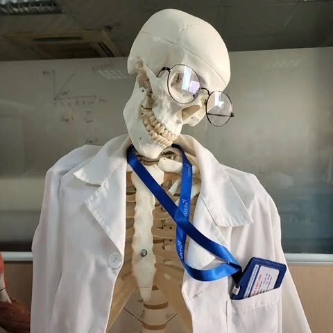 USTH