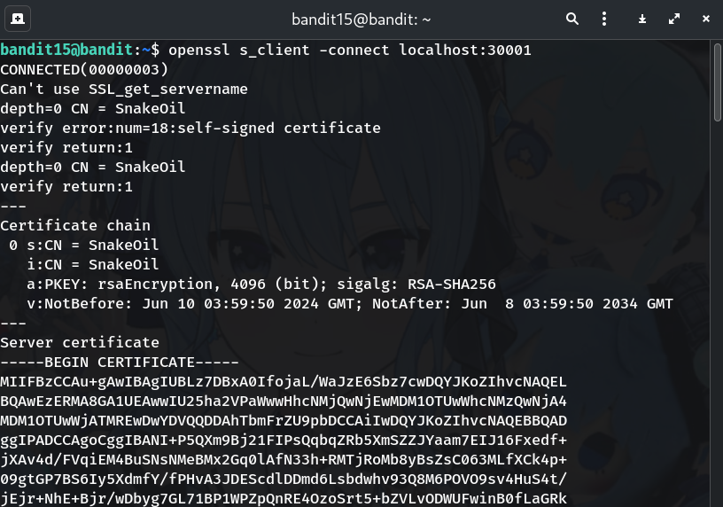 Connect with s_client