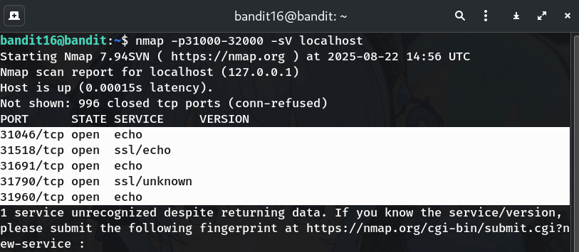 nmap output
