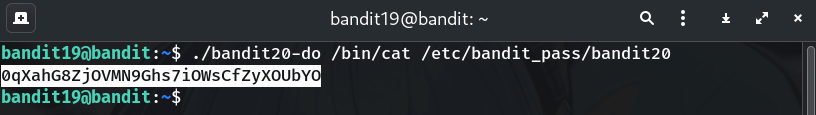 cat placeholder