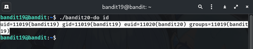 usage/id placeholder