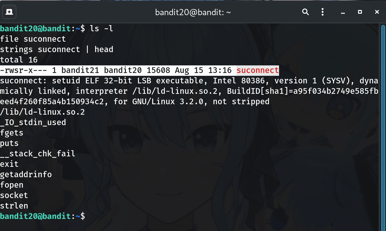 inspect placeholder