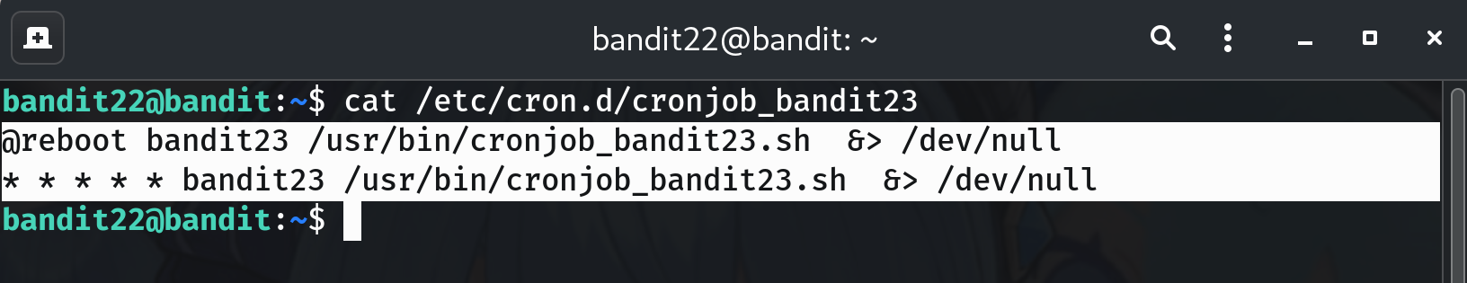 cron file placeholder