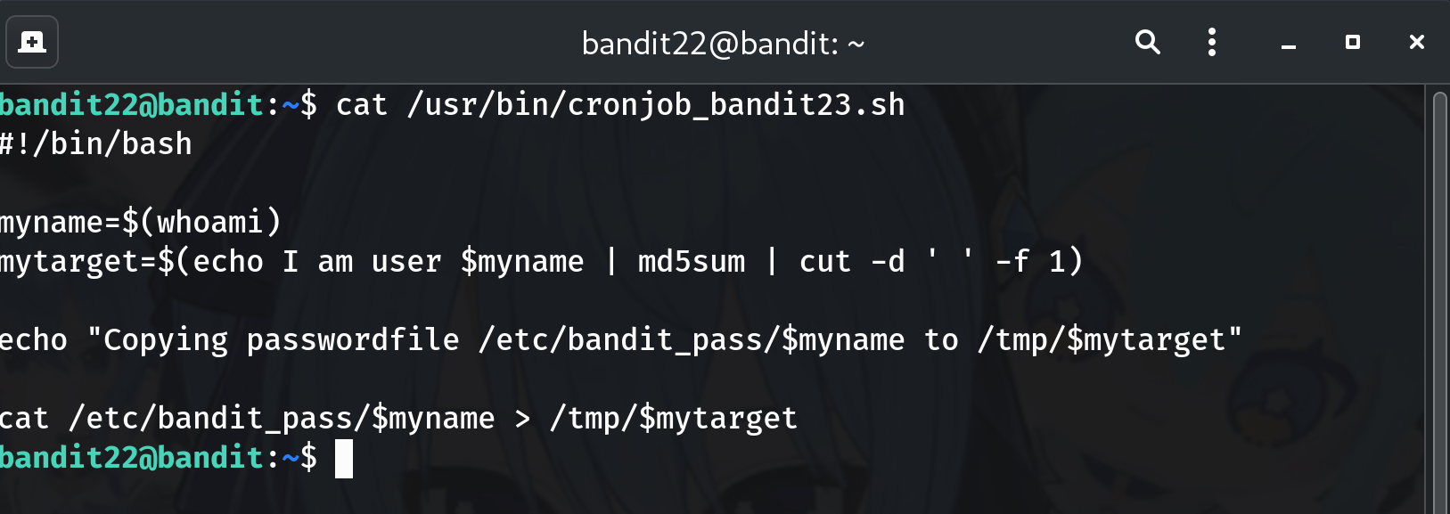 script placeholder