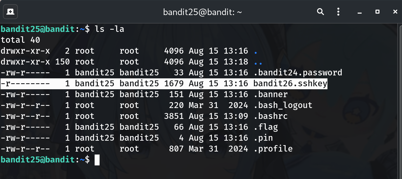 ls placeholder