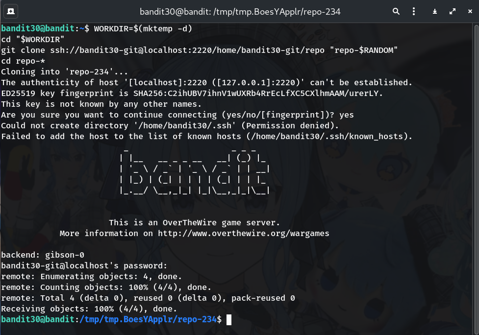 git clone placeholder