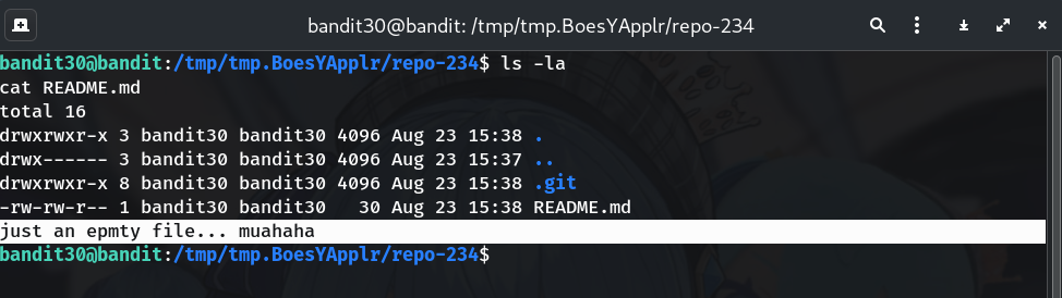 ls placeholder