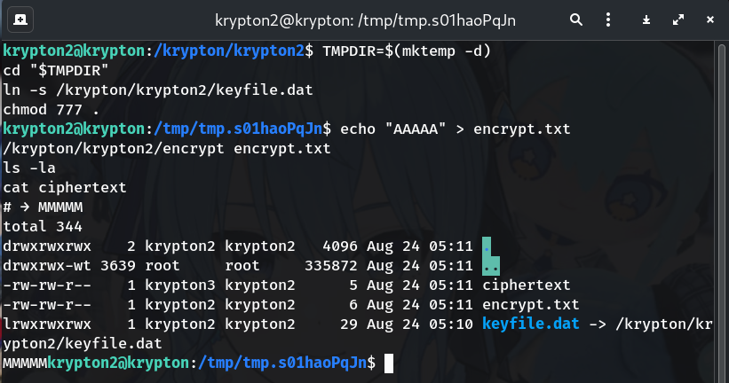 encrypt placeholder